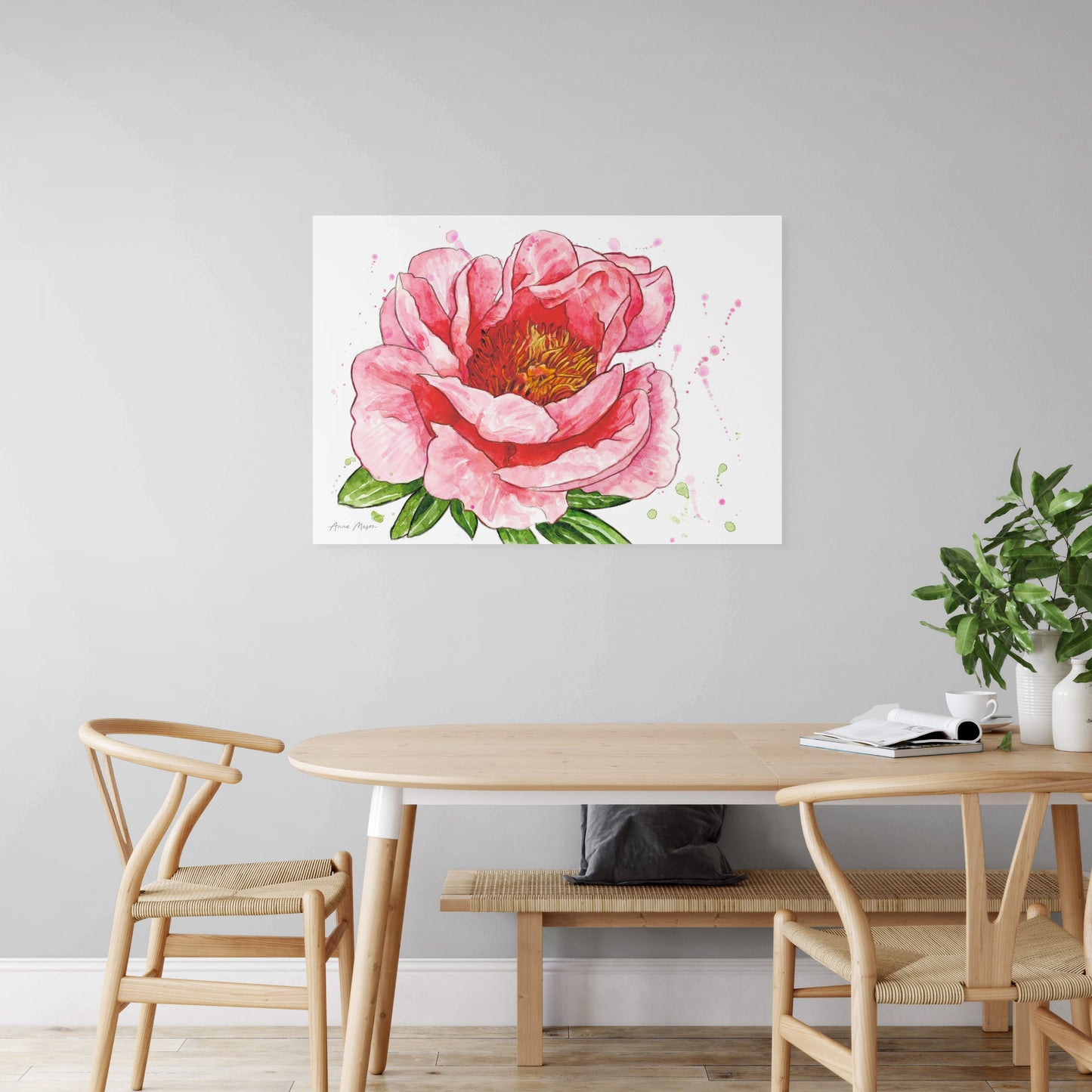 Peony 'Sunset Coral'