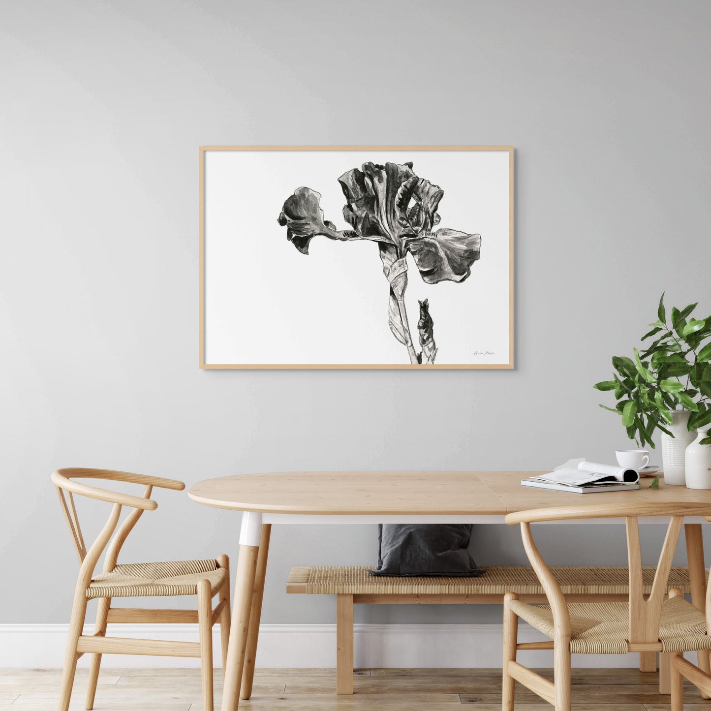 Monochrome Bearded Iris