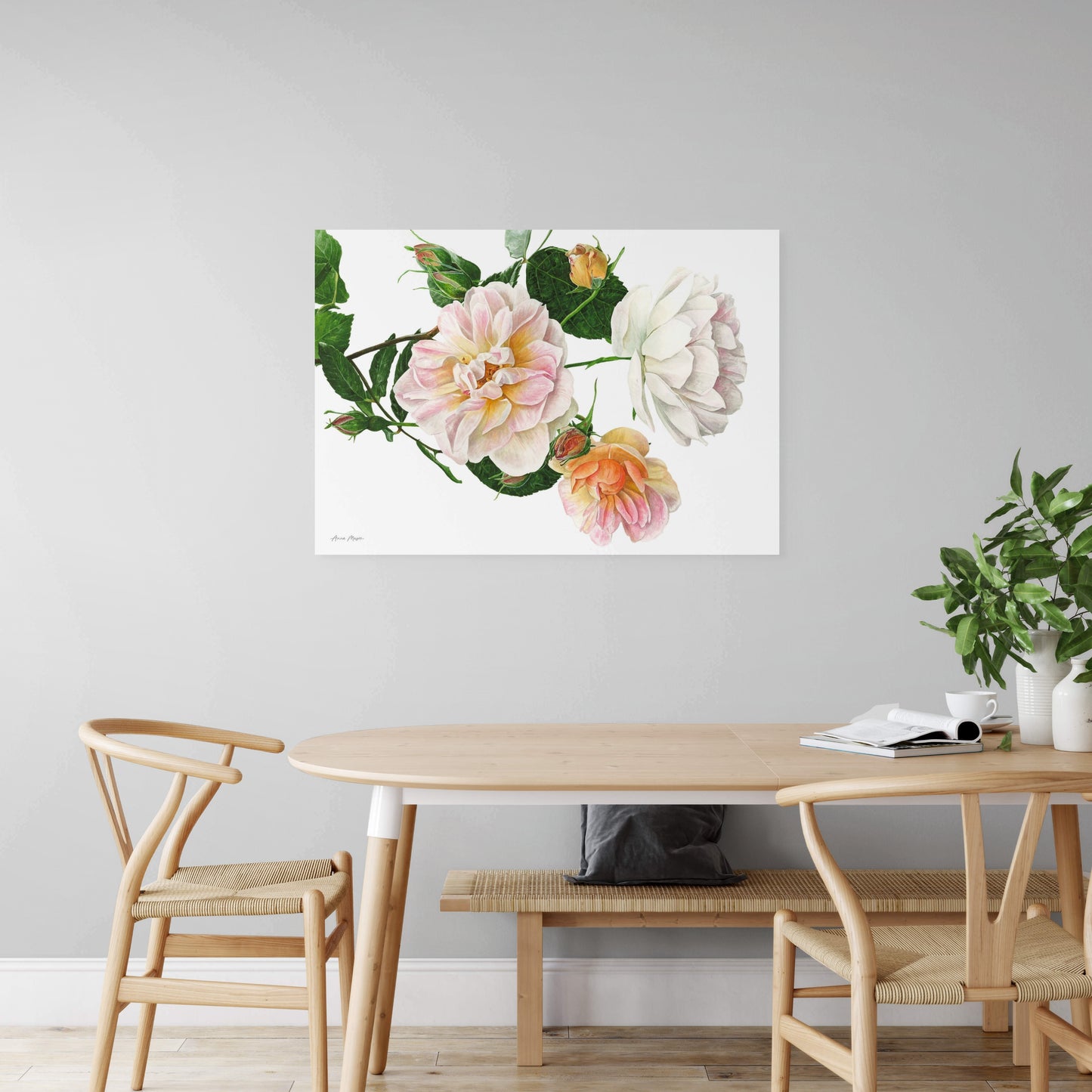 Rose 'Treasure Trove'