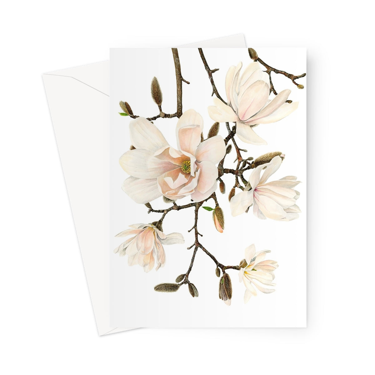 Magnolia Greeting Card