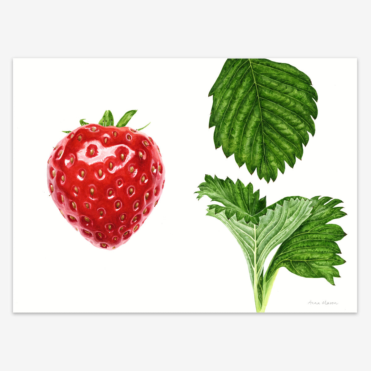 Strawberry with Leaves (Original painting)