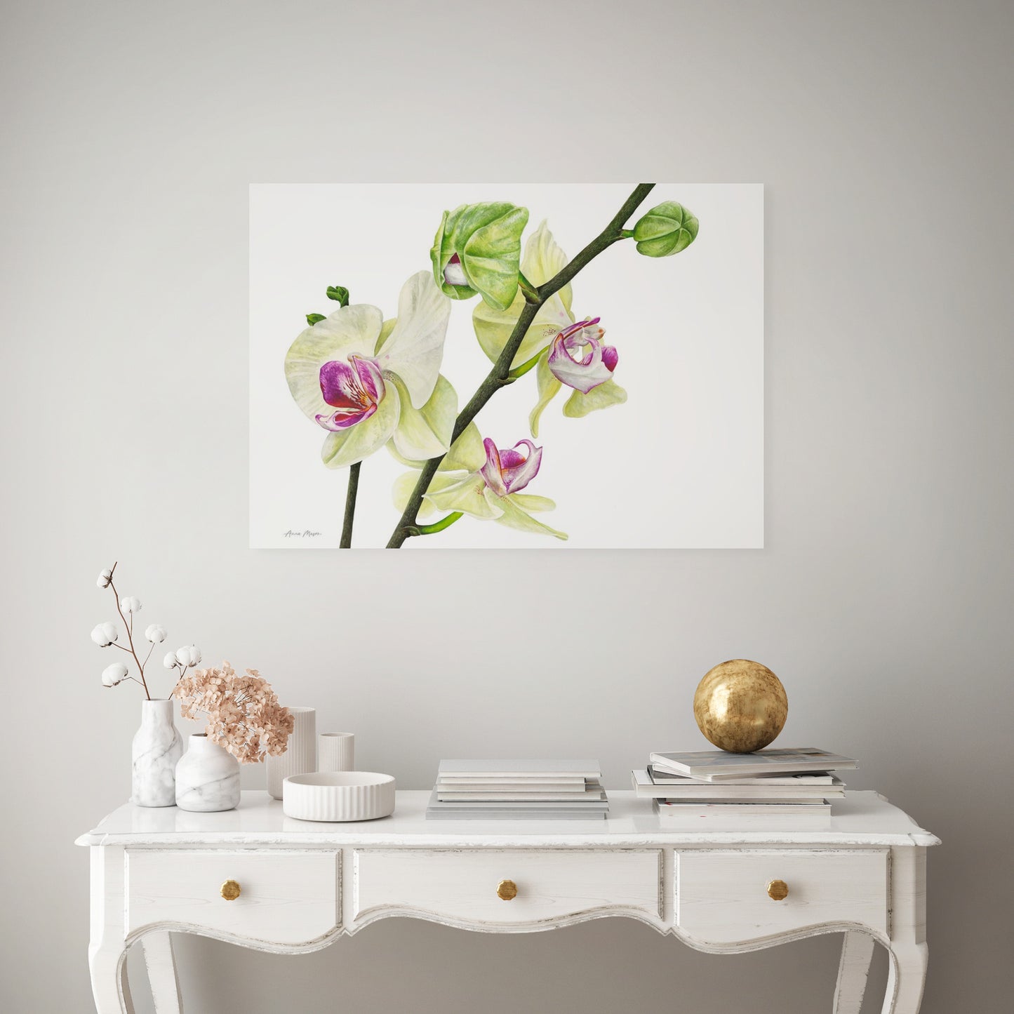 Phalaenopsis Orchid