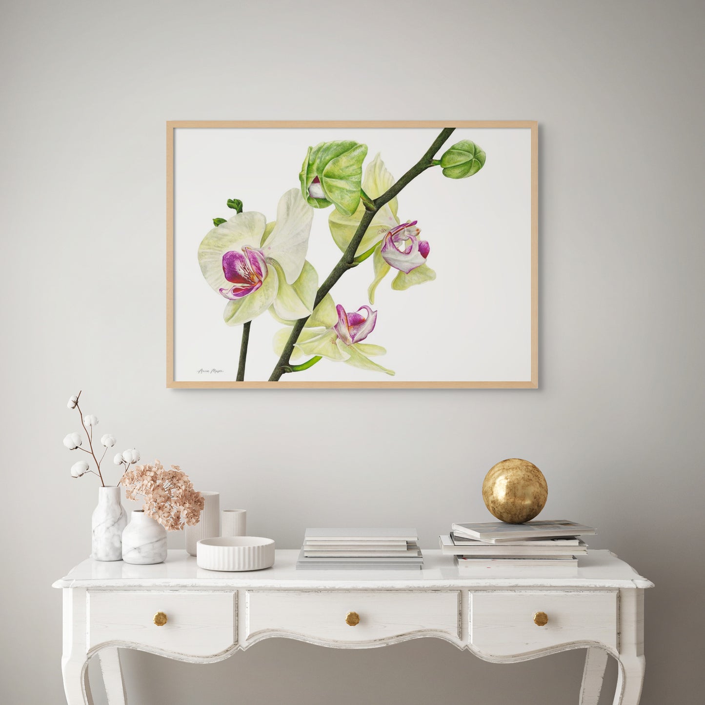 Phalaenopsis Orchid