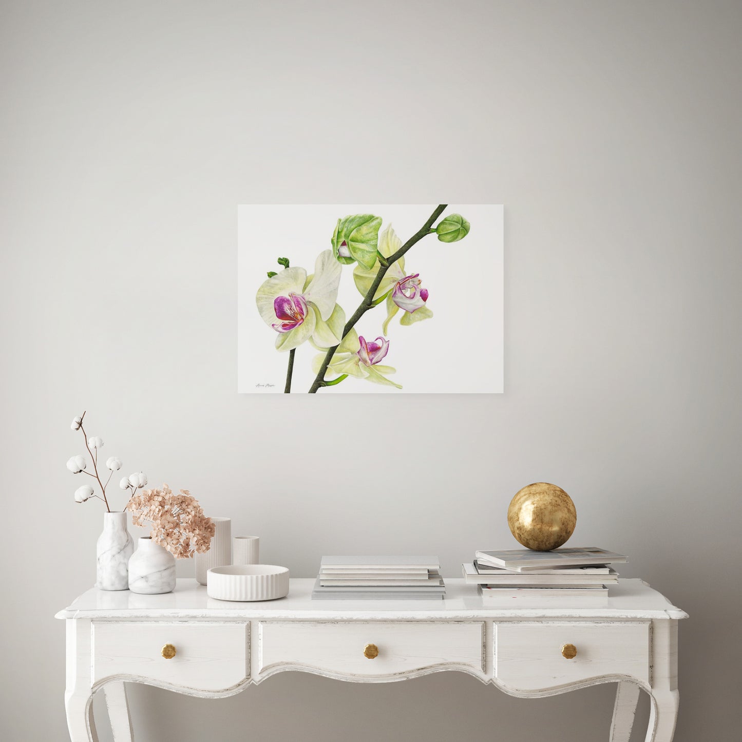 Phalaenopsis Orchid