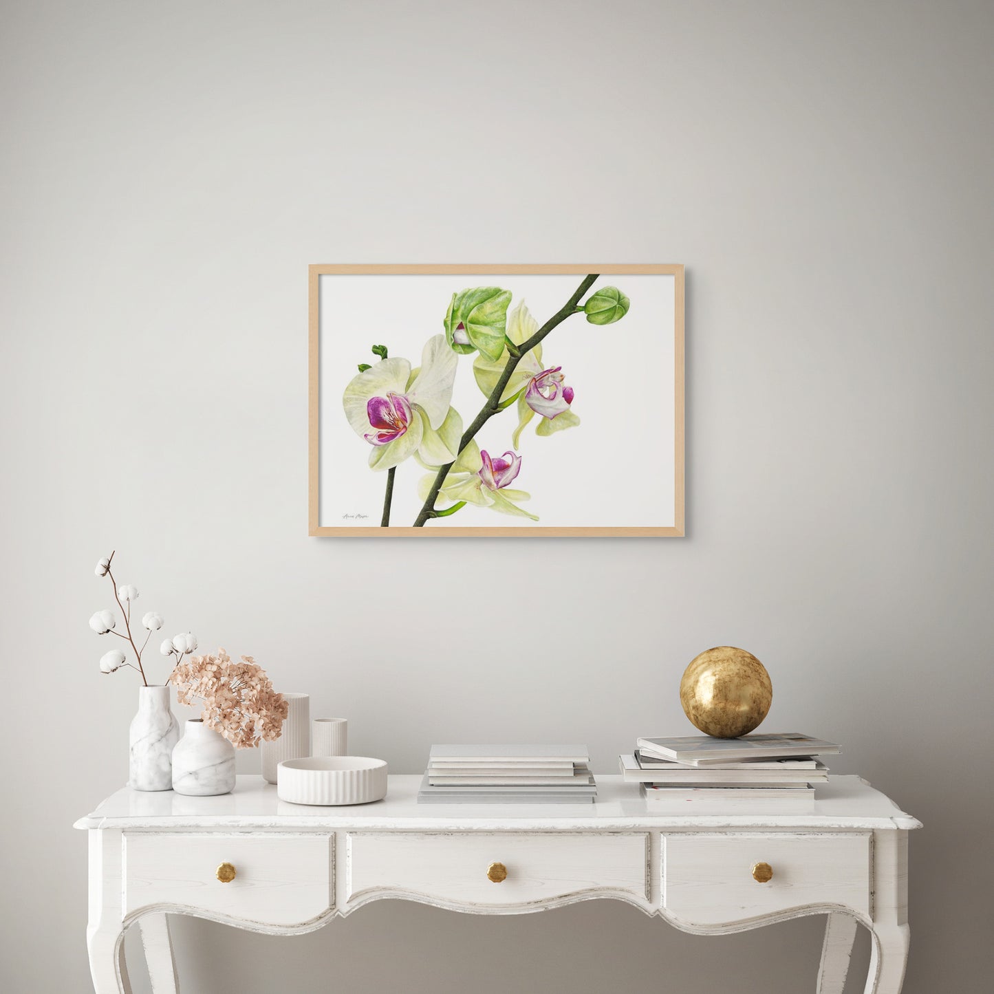 Phalaenopsis Orchid