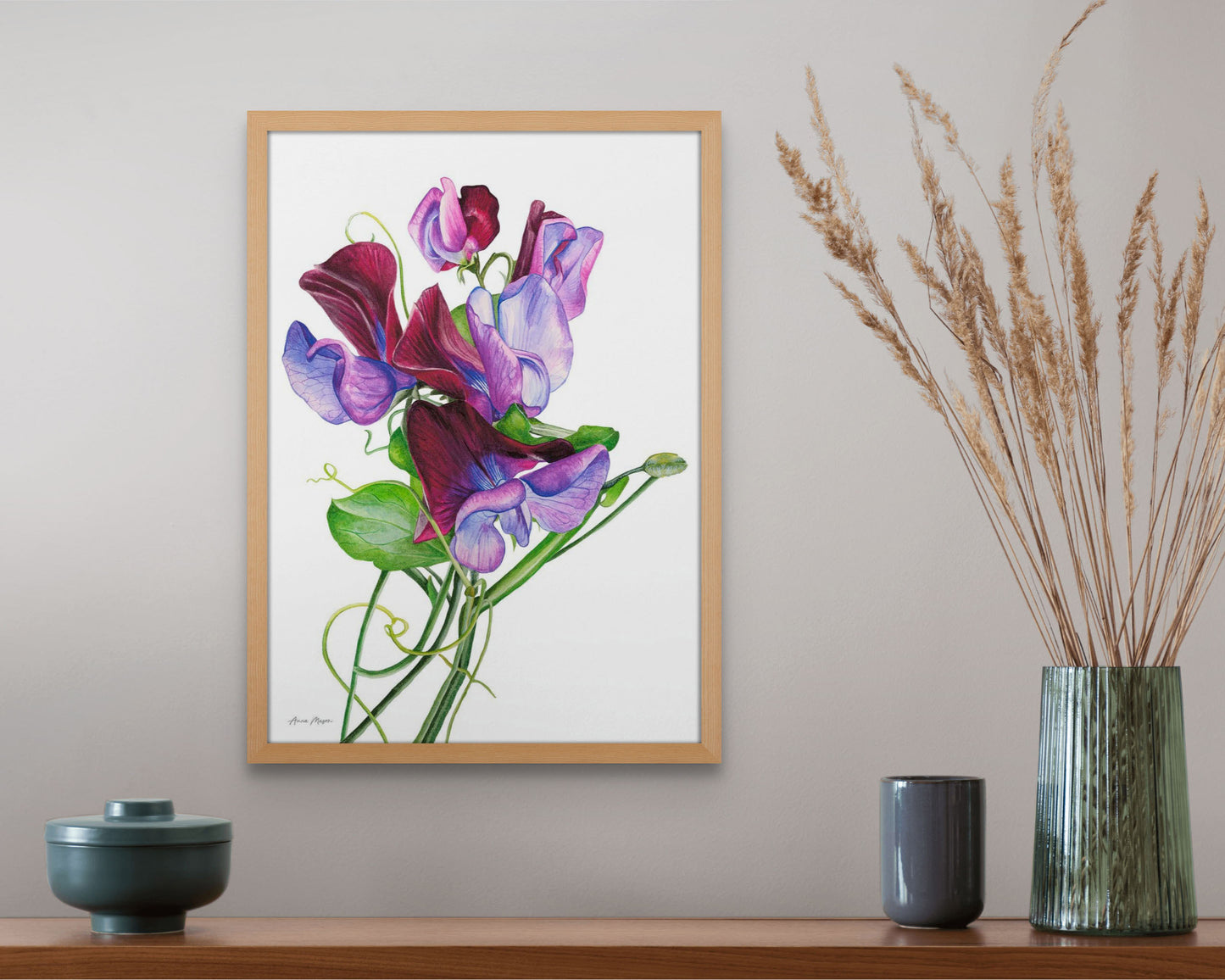 Sweet Peas 'Matucana'