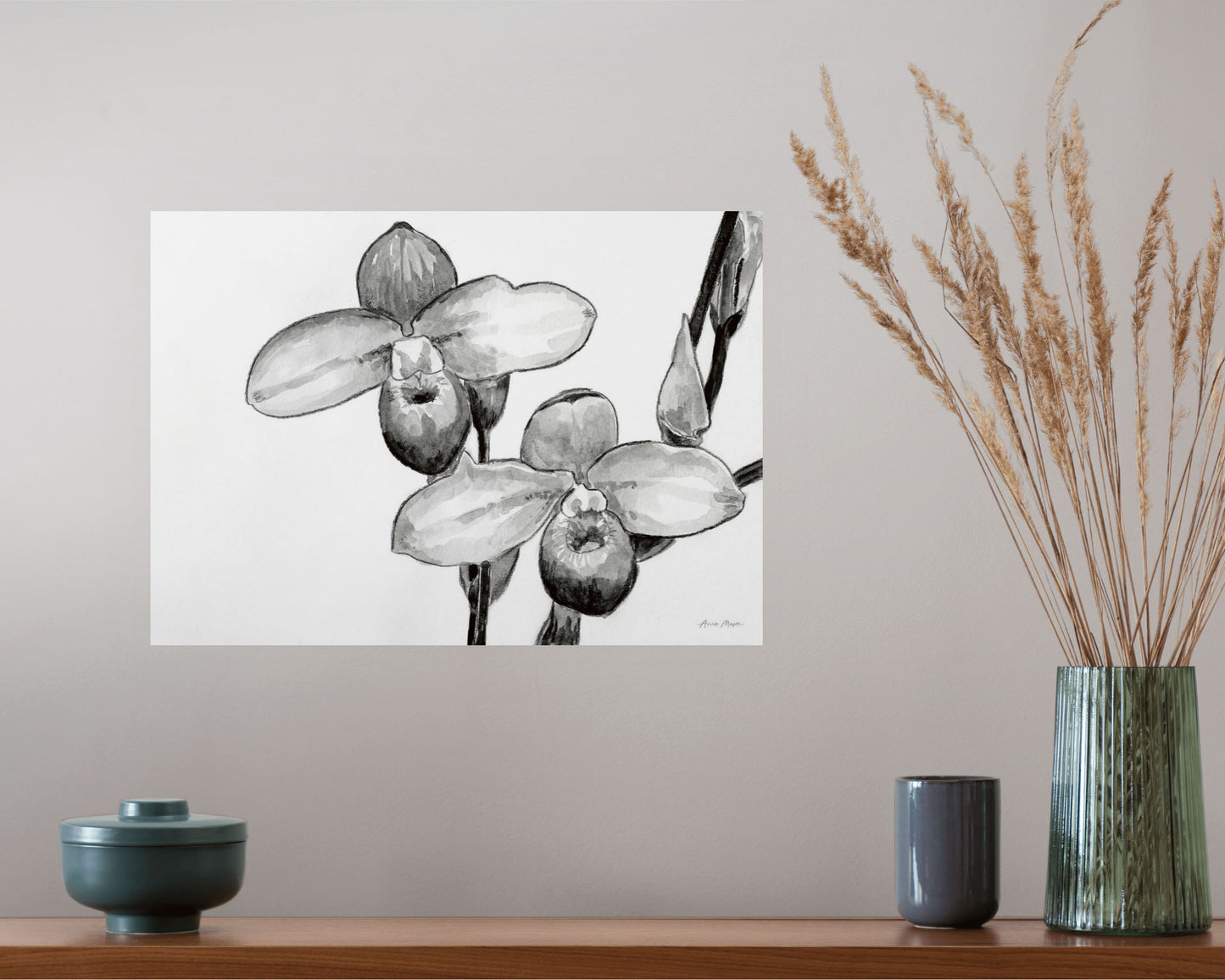 Monochrome Orchids