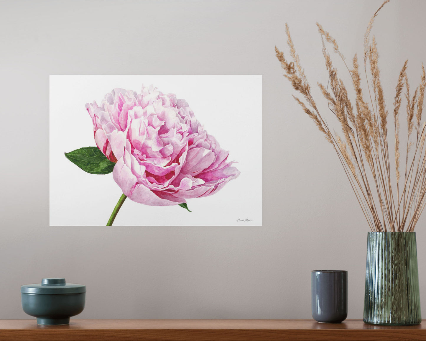 Peony 'Sarah Bernhart'