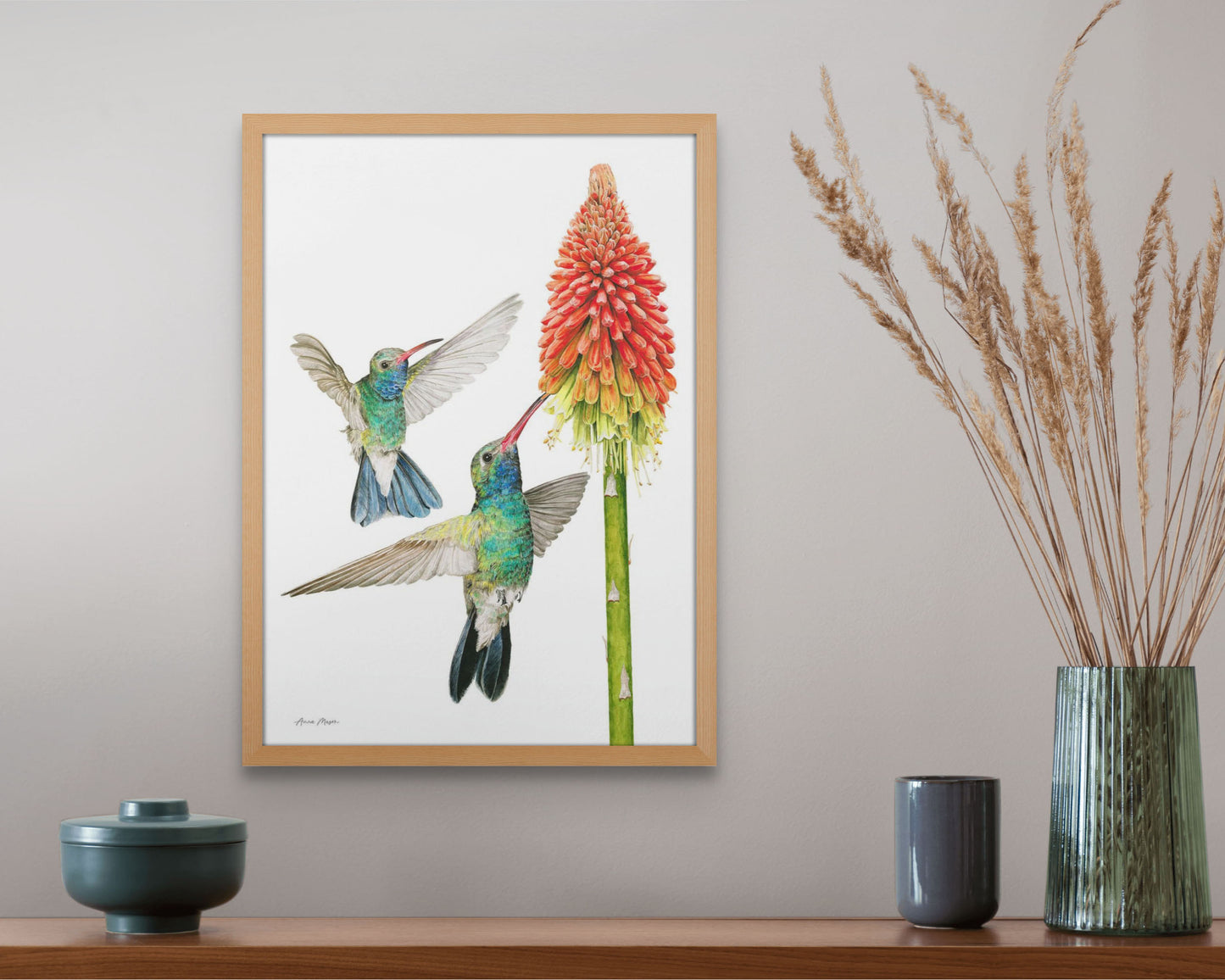 Hummingbirds with Red Hot Poker