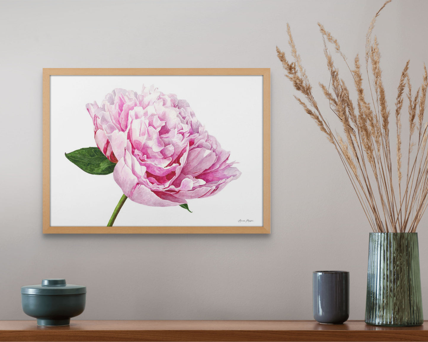 Peony 'Sarah Bernhart'
