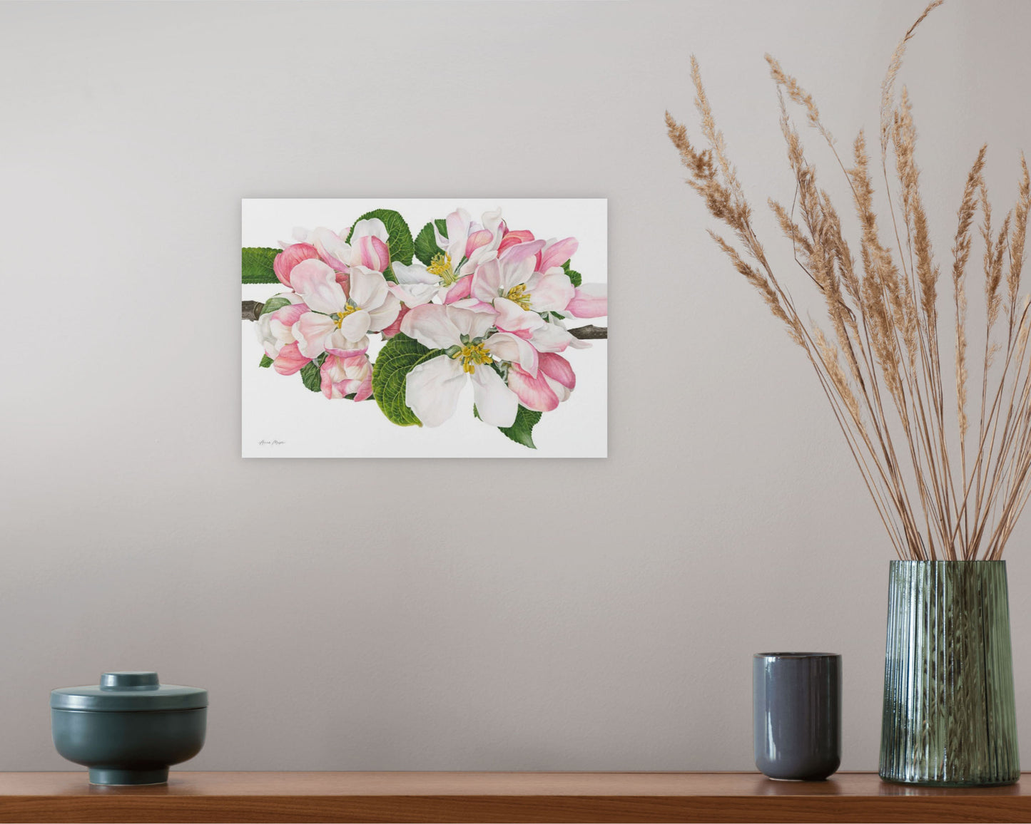 Apple Blossom
