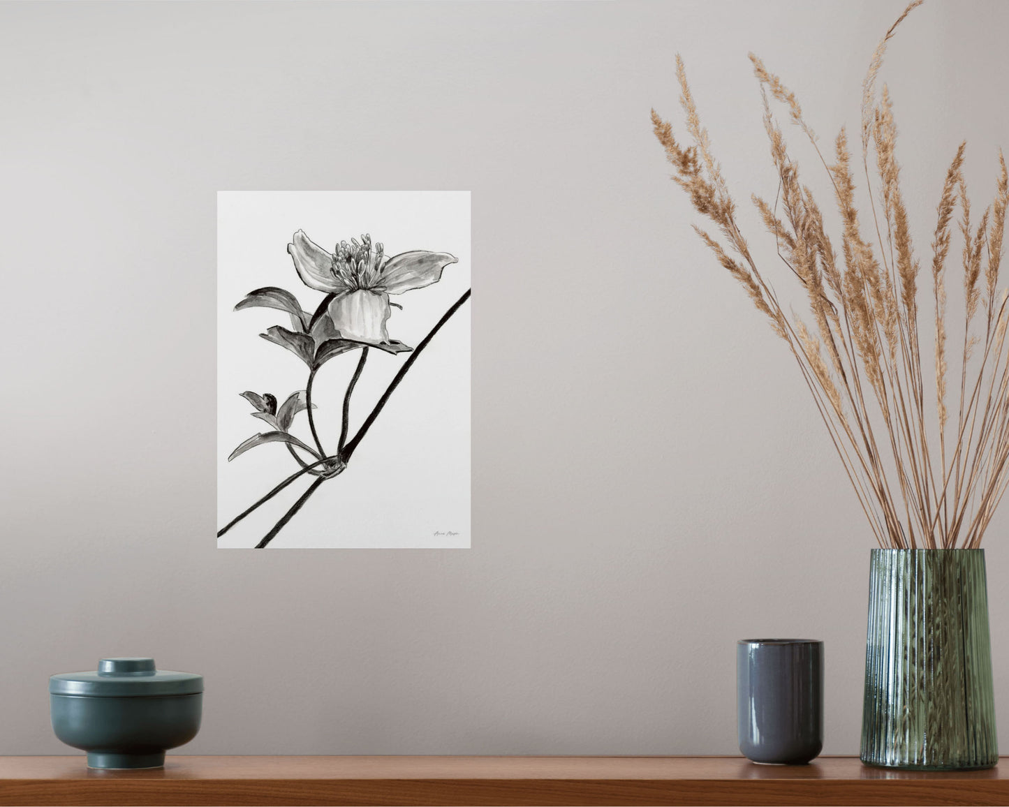 Monochrome Clematis
