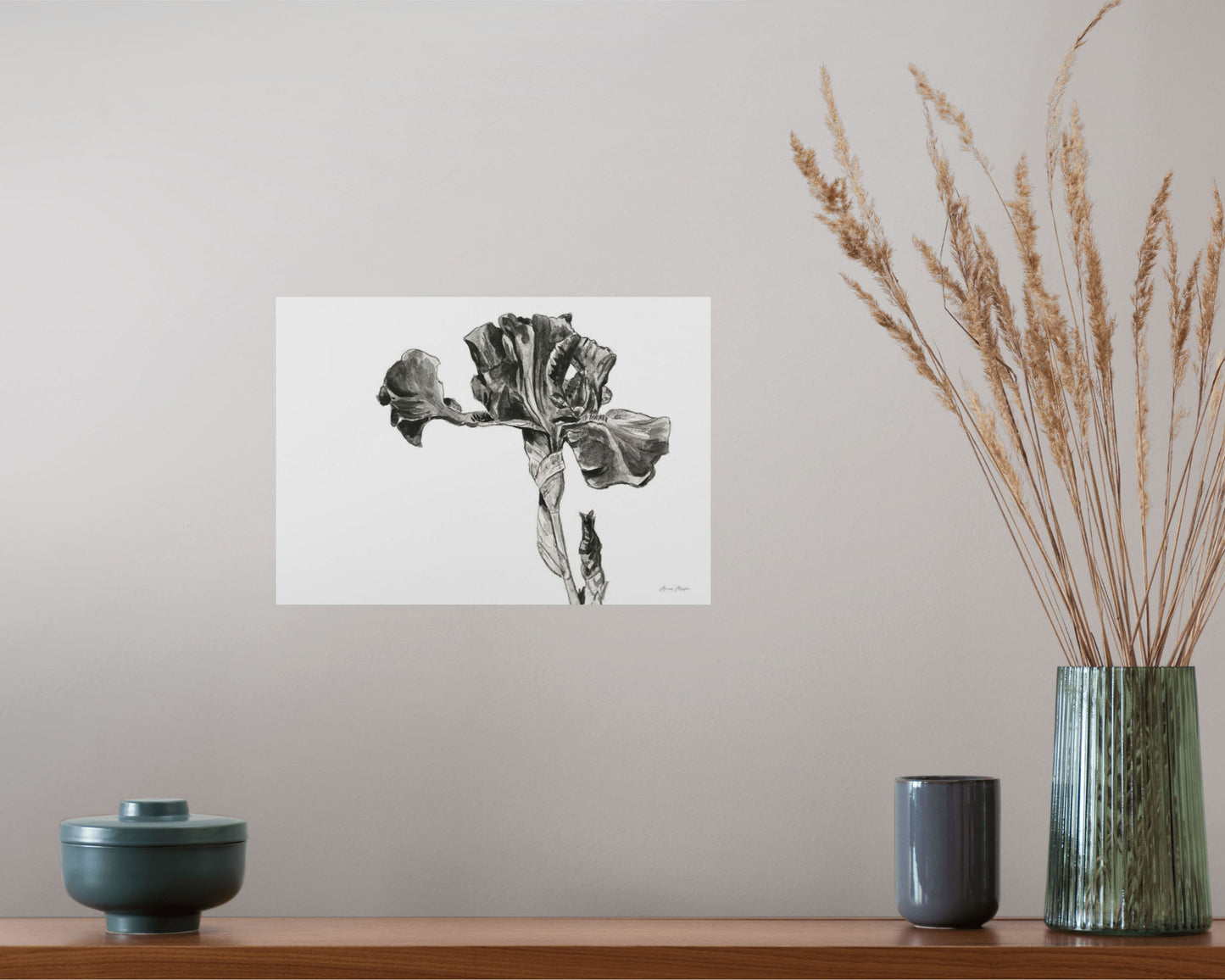 Monochrome Bearded Iris