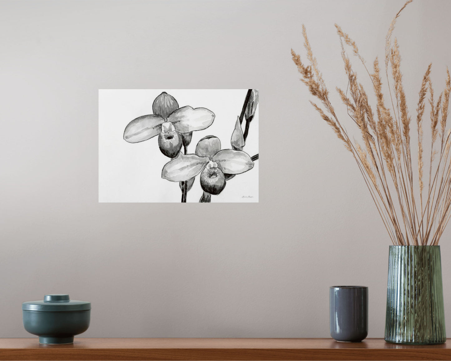 Monochrome Orchids