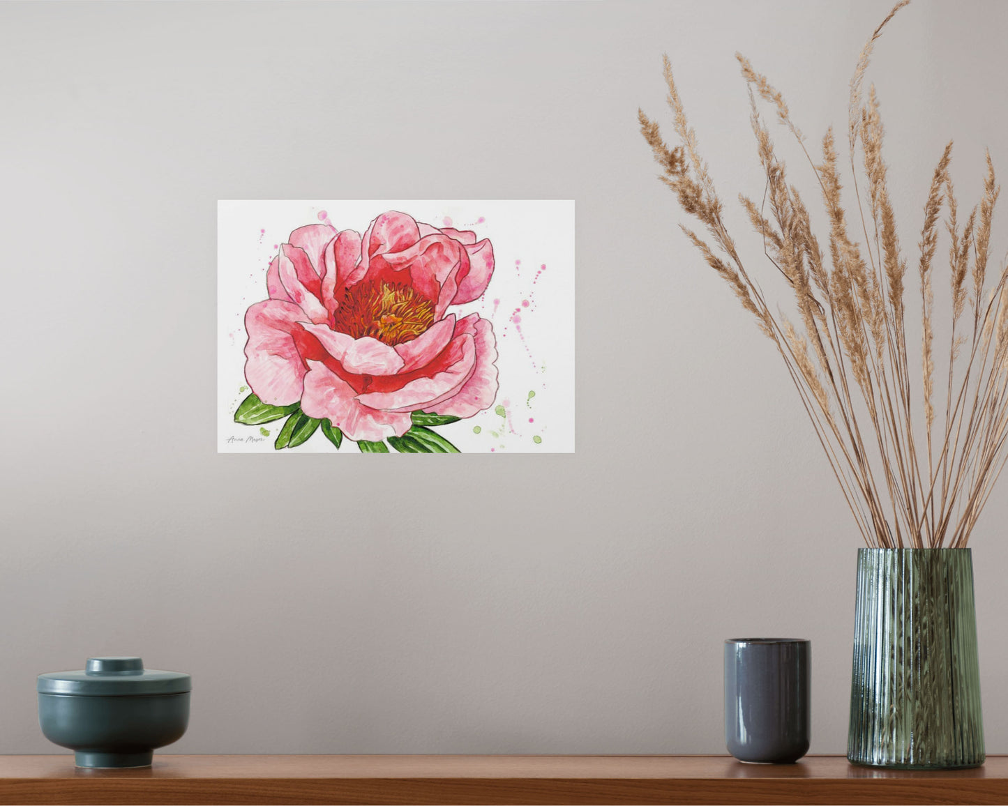Peony 'Sunset Coral'
