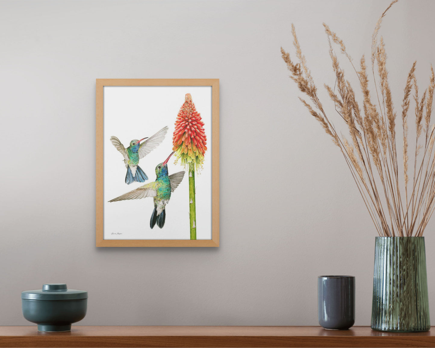Hummingbirds with Red Hot Poker