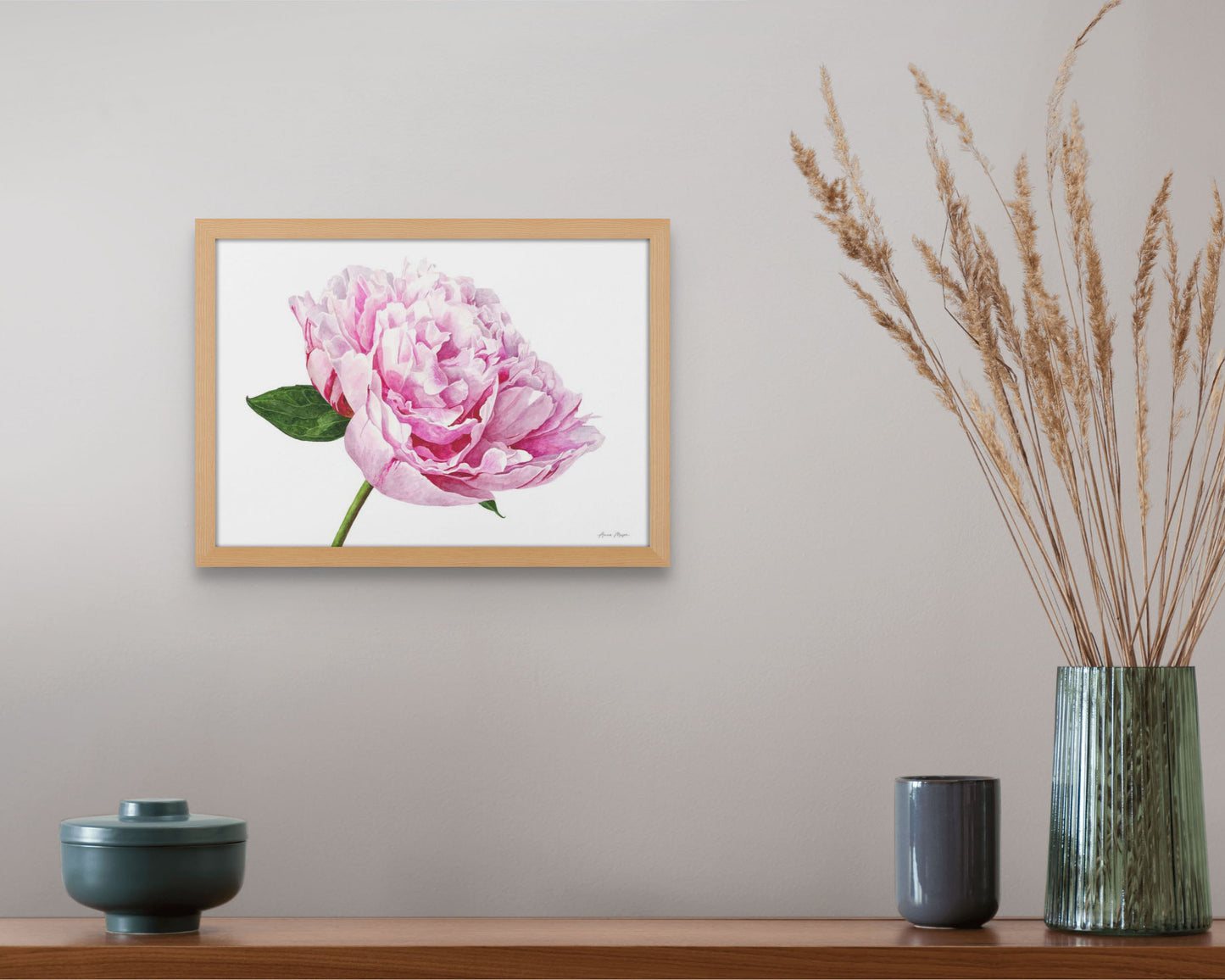 Peony 'Sarah Bernhart'