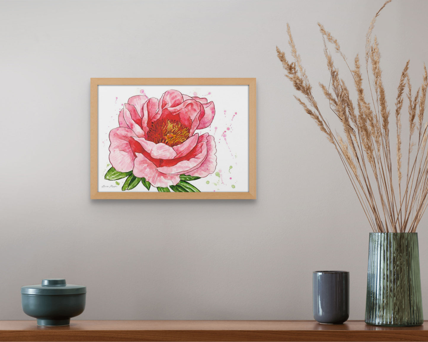 Peony 'Sunset Coral'