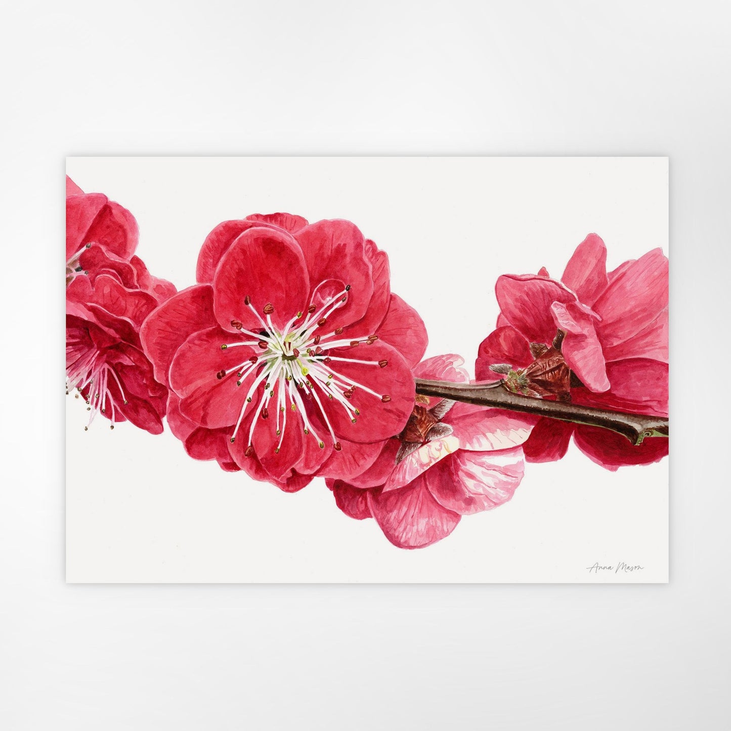 Peach Blossom (Original painting)