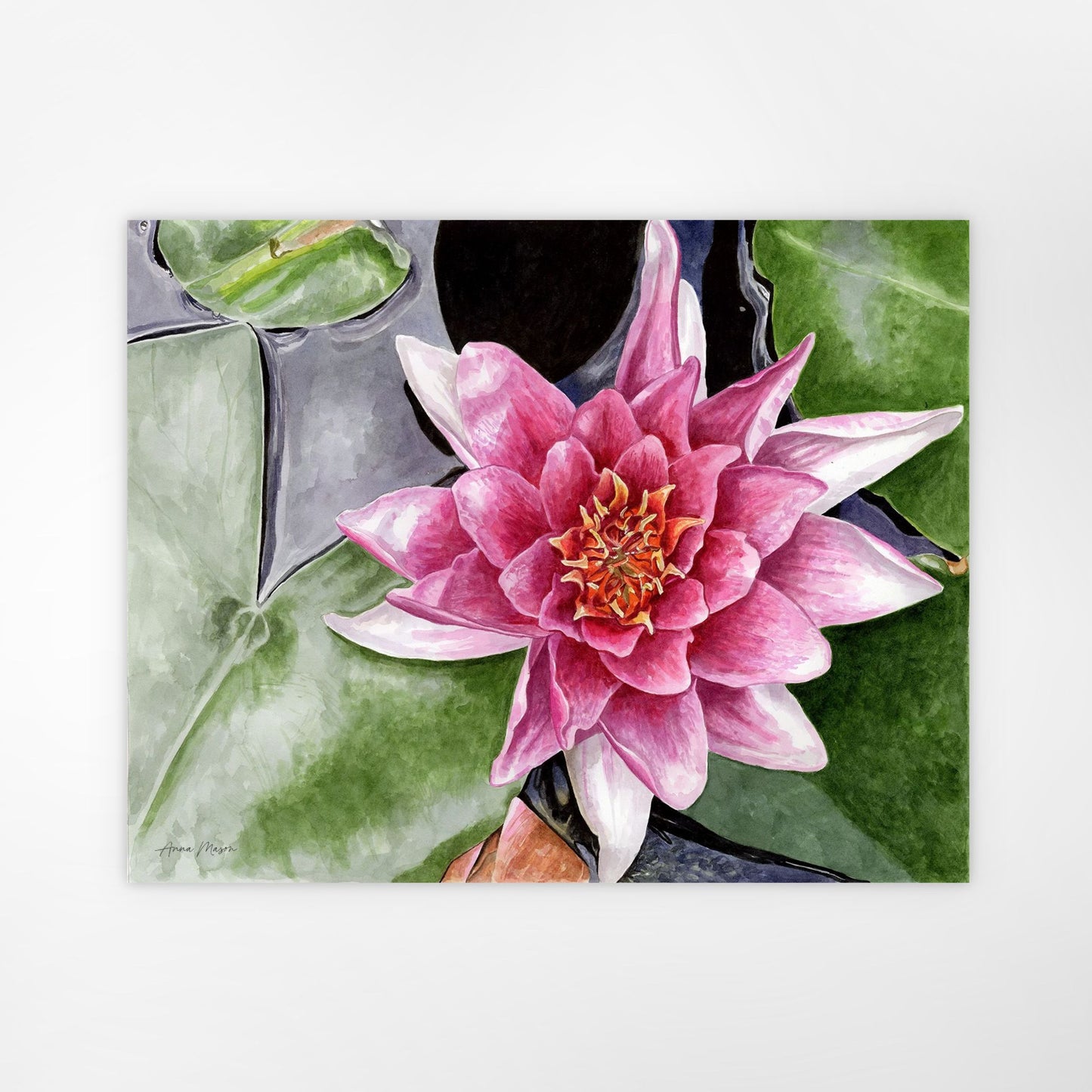 Waterlily (Original painting)