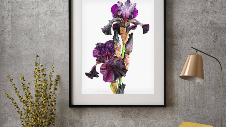 archive of sold original paintings.