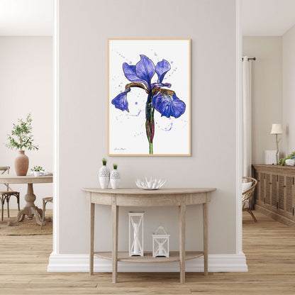 Line & Wash Flag Iris