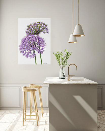 Allium Pair