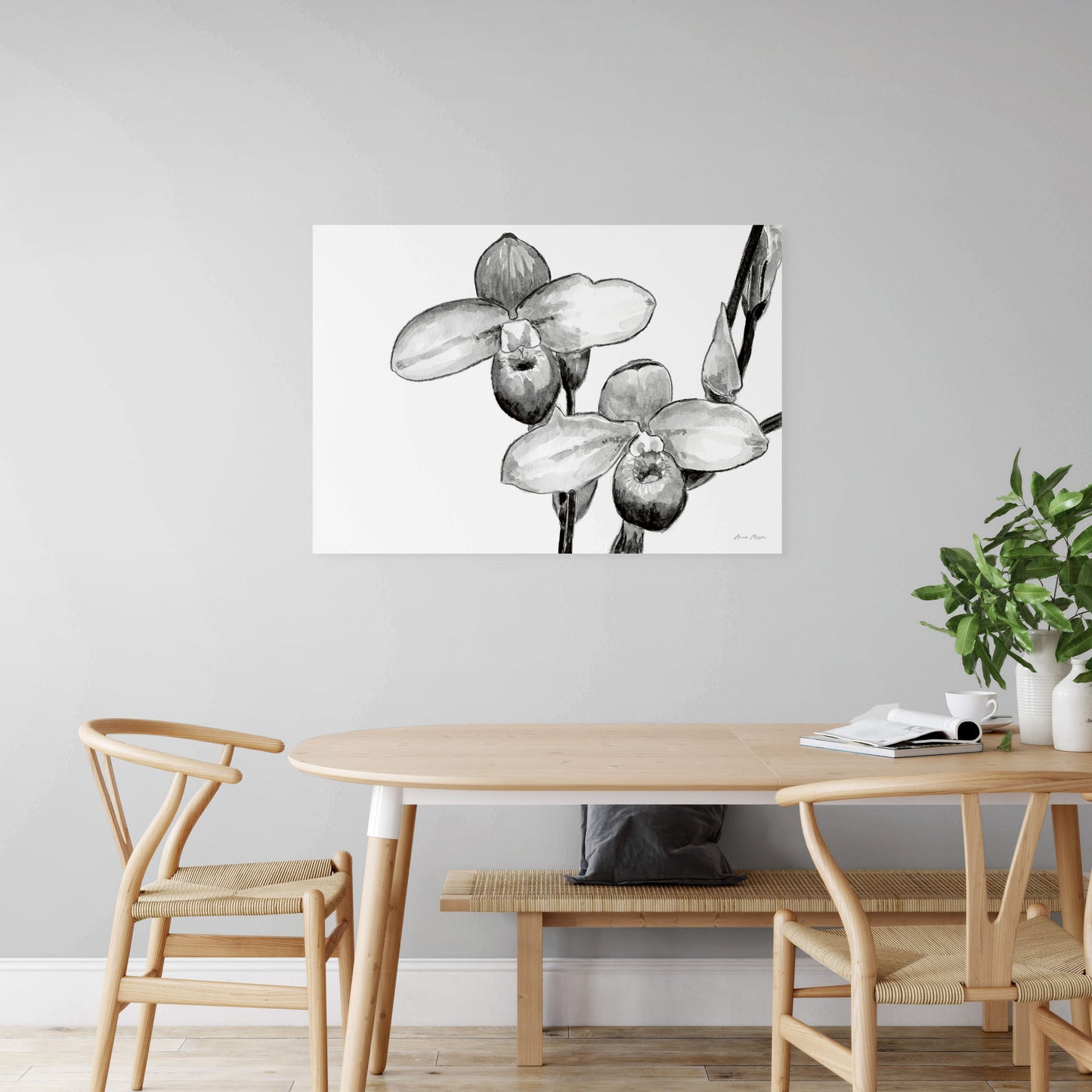 Monochrome Orchids