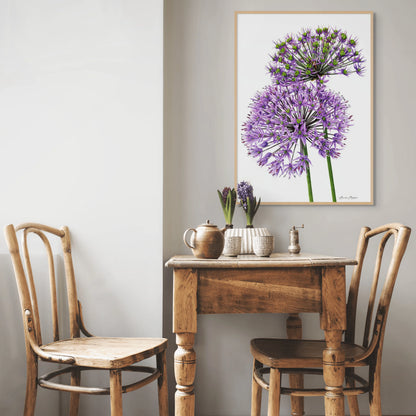 Allium Pair