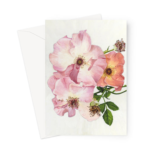 Roses 'Summer Wine' Greeting Card