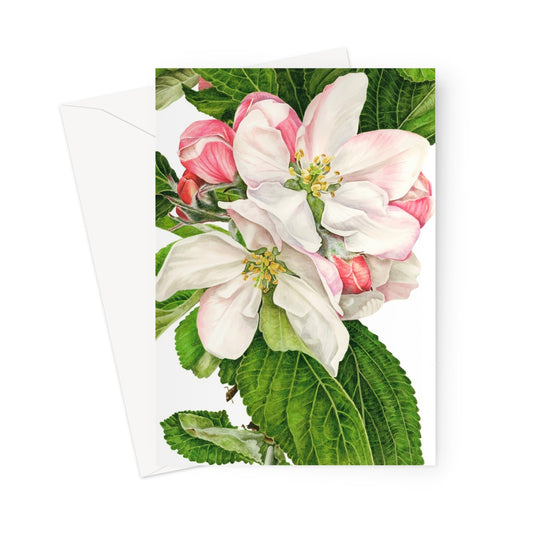 image0