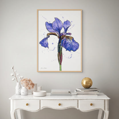 Line & Wash Flag Iris
