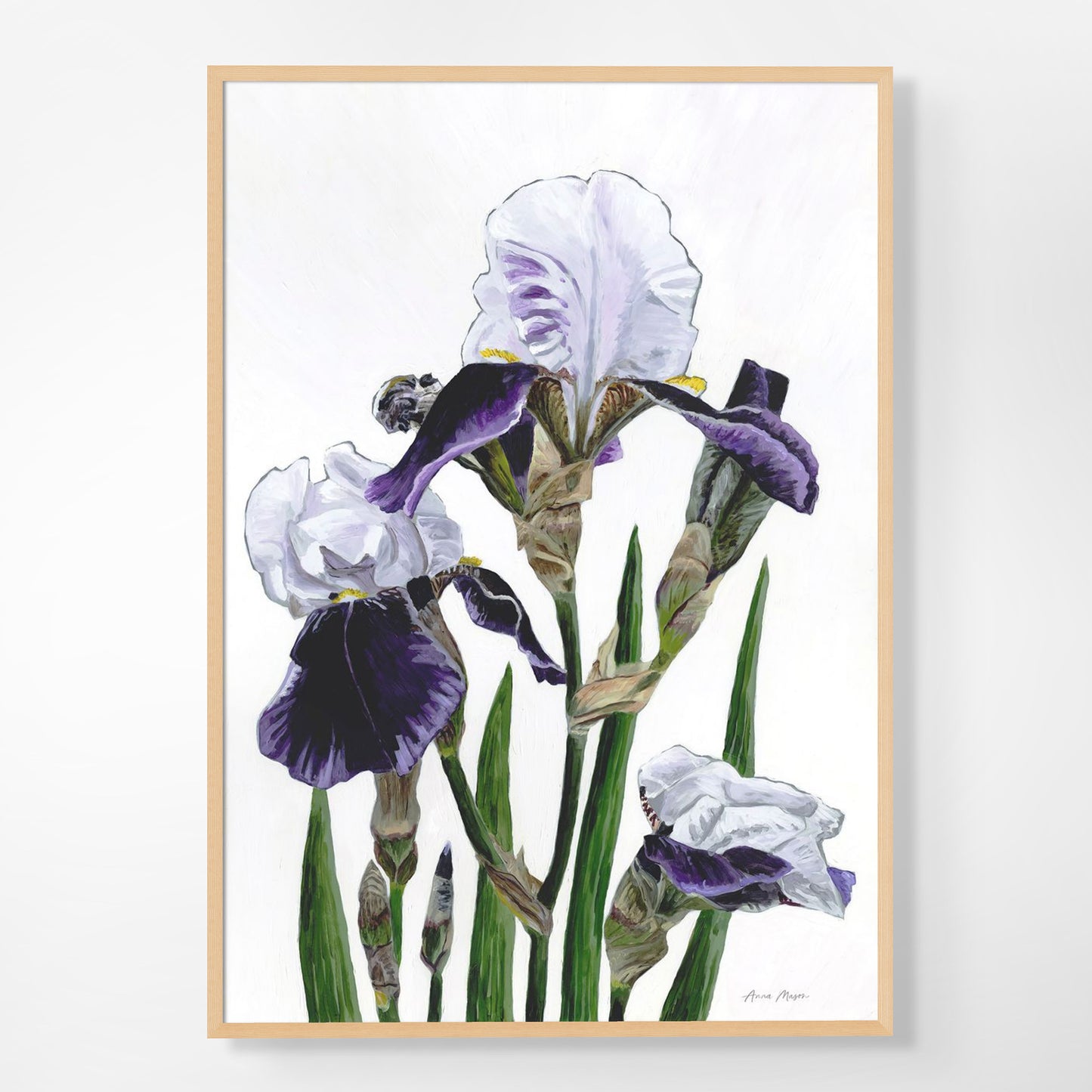 Iris 'Braithwaite'