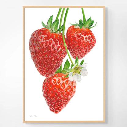 Strawberry Blossom