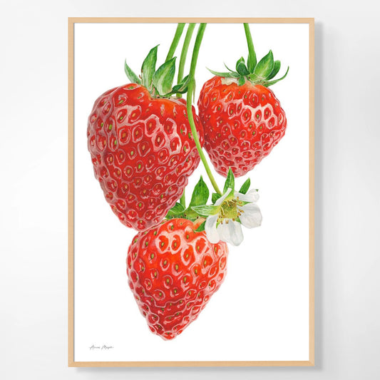 Strawberry Blossom