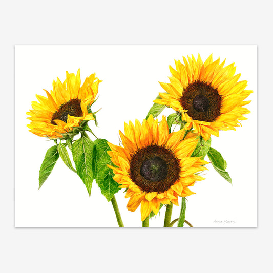 Sunflowers (Original painting)
