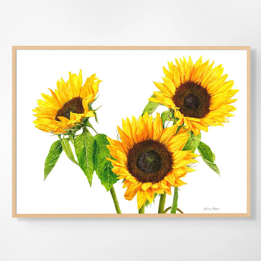 Sunflowers