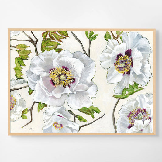 Rock's Tree Peony
