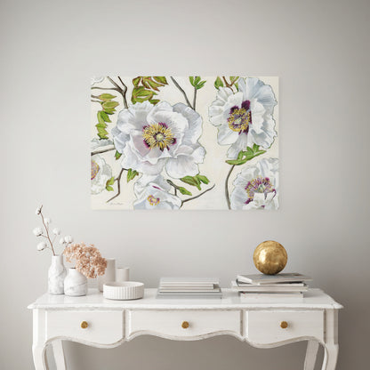 Rock's Tree Peony