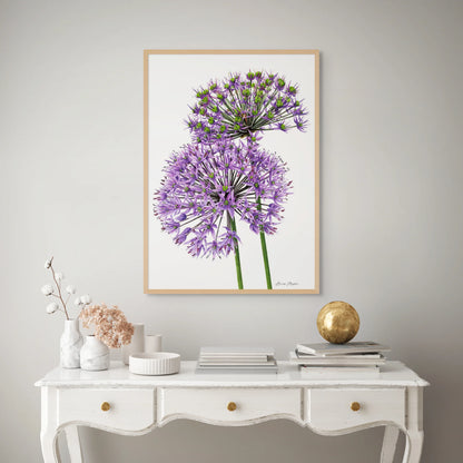 Allium Pair