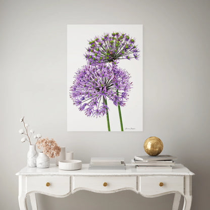 Allium Pair