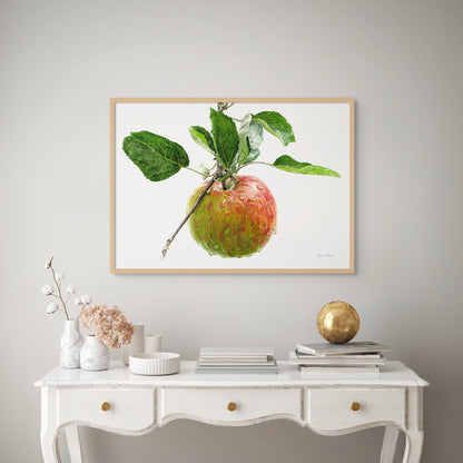 Apple 'Tortosh'