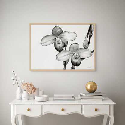 Monochrome Orchids
