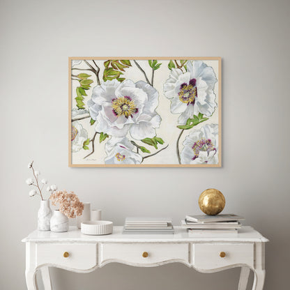 Rock's Tree Peony