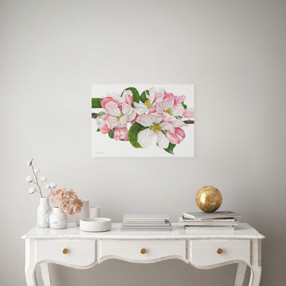 Apple Blossom