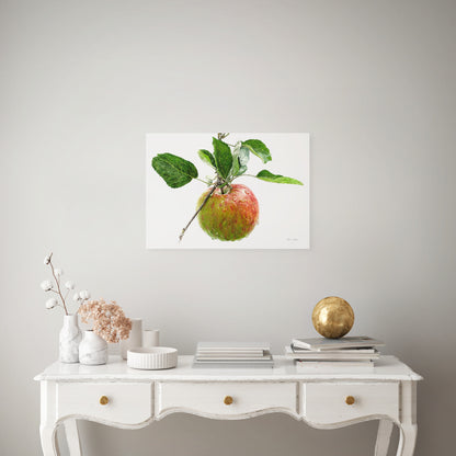 Apple 'Tortosh'