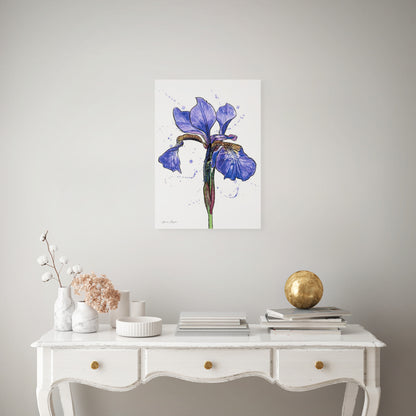 Line & Wash Flag Iris