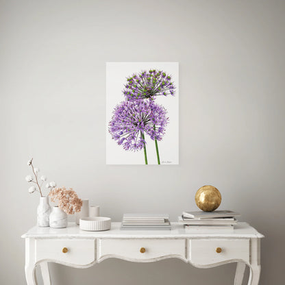 Allium Pair