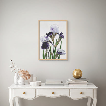 Iris 'Braithwaite'