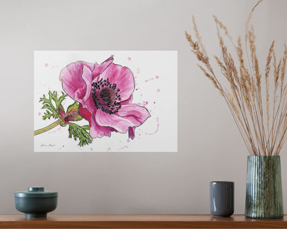 Line & Wash Anemone
